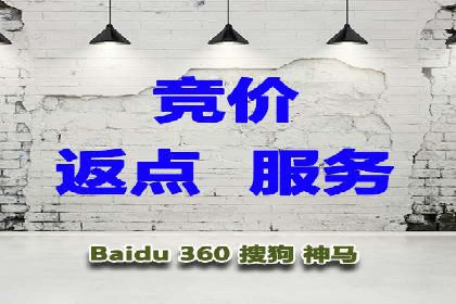 行业领先企业如何运用SEM运营推广